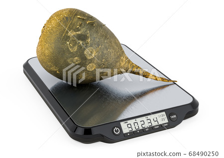 Kitchen Scales with Black big radish. 3D rendering Kitchen Scales with Black big radish. 3D rendering 68490250