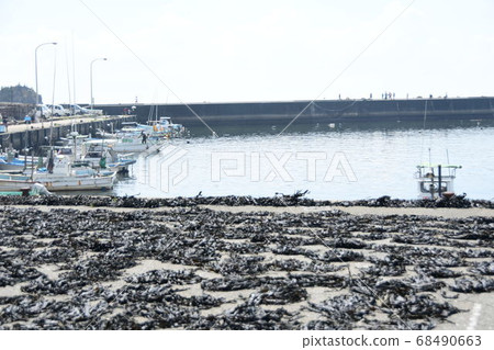 Aizu Fishing Port and Arame Aizu Fishing Port and Arame 68490663