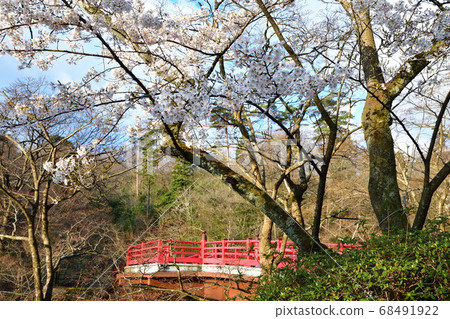 Momijidani Park in spring (Niigata Prefecture) 68491922