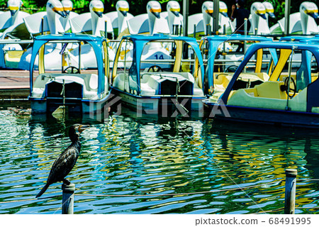 Inokashira Park 68491995