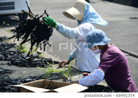風暴釣魚 風暴釣魚 68492354