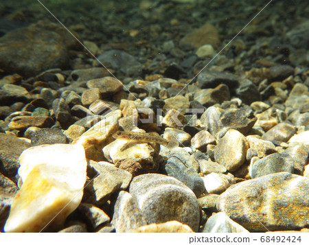Underwater photography of the river flowing through the river Yoshinobori 68492424