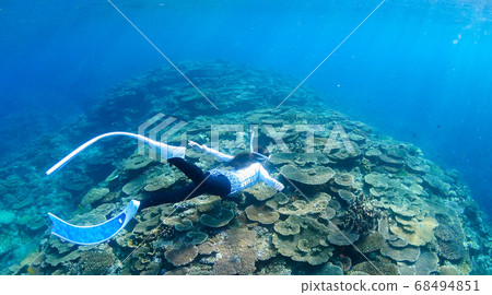 Coral reef snorkeling Coral reef snorkeling 68494851