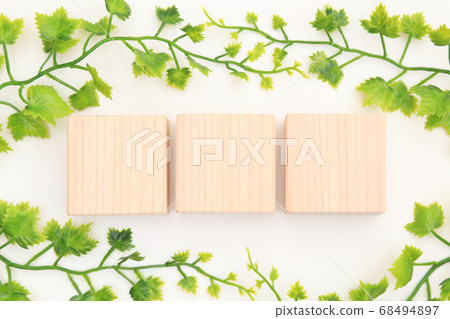 Square cypress blocks and fresh green text space copy space Square cypress blocks and fresh green text space copy space 68494897