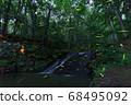Heike firefly dancing on the waterside of Nishioka Park 68495092