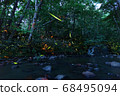 Heike firefly dancing on the waterside of Nishioka Park 68495094