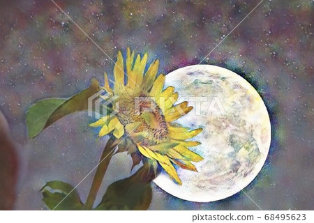 向日葵 68495623