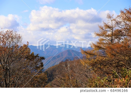 Autumn leaves of the day salt and leaves line Autumn leaves of the day salt and leaves line 68496166