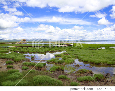Sorge Flower Lake Sorge Flower Lake 68496220