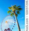 棕櫚樹和摩天輪 68497206