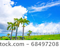 藍天和棕櫚樹 68497208