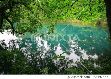 夏季的小沼（福島縣浦東市） 68497333