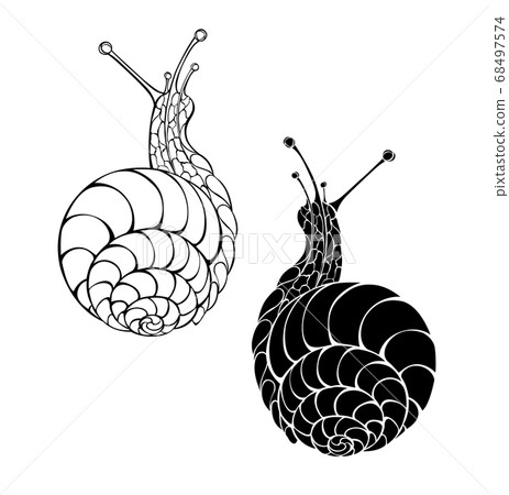 Two monochrome snails Two monochrome snails 68497574