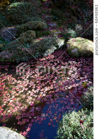 秋天的葉子漂浮在池塘里_金剛寺 秋天的葉子漂浮在池塘里_金剛寺 68498963