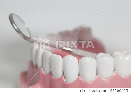 White human teeth model and dental mirror 68500495