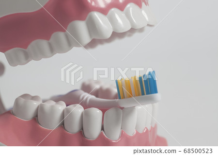 Teeth human model with color toothbrush. Dental Teeth human model with color toothbrush. Dental 68500523