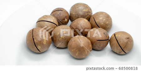Macadamia nuts with hard shell on white isolated Macadamia nuts with hard shell on white isolated 68500818