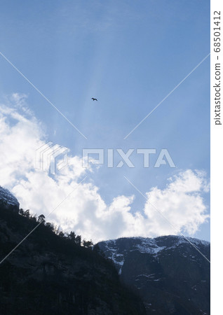 天空山鳥 68501412
