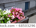 Flower bed of hot spring town 68503296