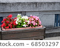 Flower bed of hot spring town 68503297