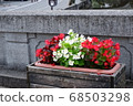 Flower bed of hot spring town 68503298