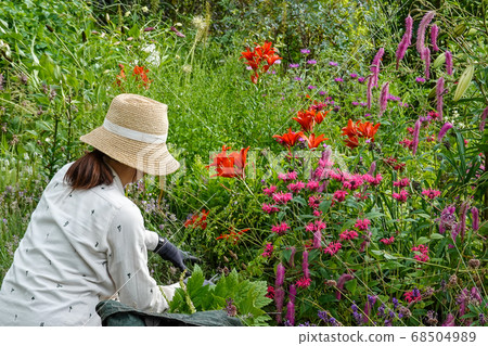 gardening gardening 68504989