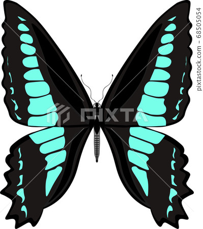 Aosiagehaha 68505054