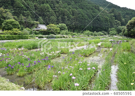 Kamoso Kachoen 68505591