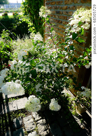 Atelier Township garden Atelier Township garden 68505729