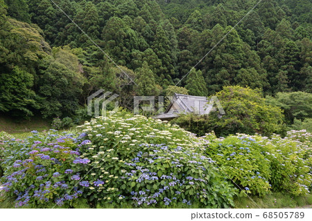 Kamoso Kachoen Kamoso Kachoen 68505789