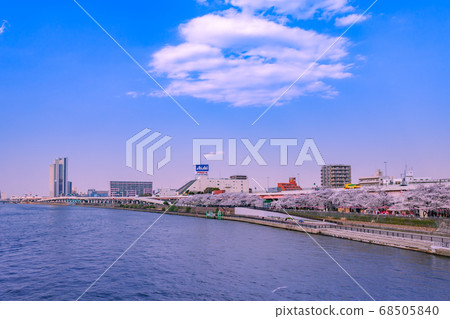 Sumida River and row of cherry trees, urban landscape Sumida River and row of cherry trees, urban landscape 68505840