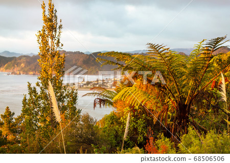 New Zealand coast 68506506