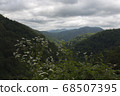 Landscape with mountains and storm clouds. wildflowers in the foreground 68507395