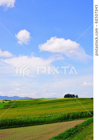 Hokkaido Biei New hill Hokkaido Biei New hill 68507845