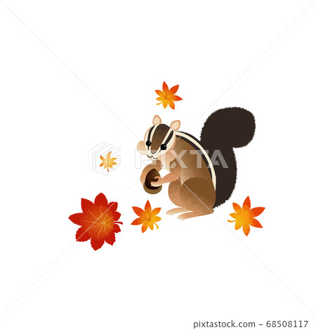 Autumn leaves and chipmunk 68508117