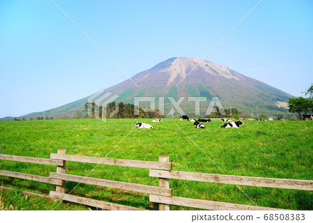 Tottori Prefecture Oyama Holstein Beef 68508383