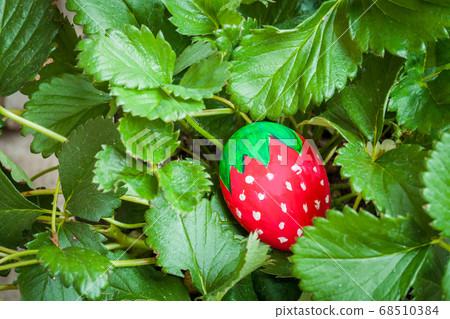 Strawberry ester egg  in strawberry tree 68510384