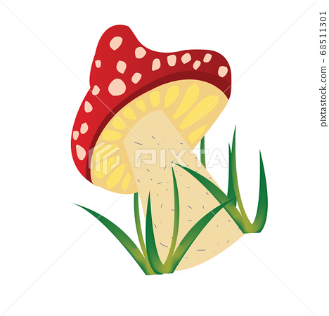 Featured image of post Mushroom Pictures To Draw