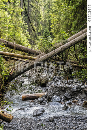 Water stream in Demanovska valley in Low Tatras, Water stream in Demanovska valley in Low Tatras, 68513445