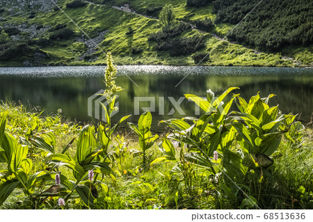Rohac tarn, Western Tatras, Slovakia, hiking theme 68513636