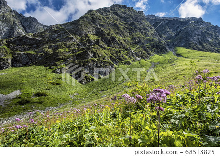 Flowering meadow, Sad valley, Western Tatras, Flowering meadow, Sad valley, Western Tatras, 68513825