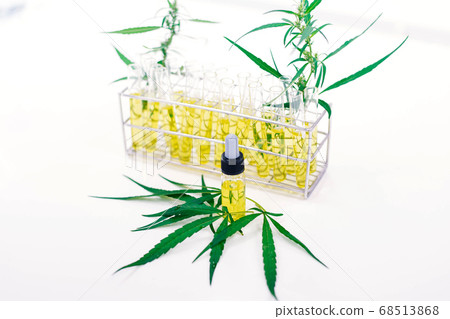 cannabis, marijuana, oil 68513868