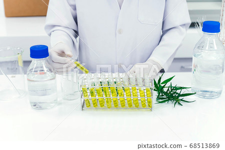 scientist in laboratory testing cbd oil extracted from a marijuana plant. Healthcare pharmacy from medical cannabis. scientist in laboratory testing cbd oil extracted from a marijuana plant. Healthcare pharmacy from medical cannabis. 68513869