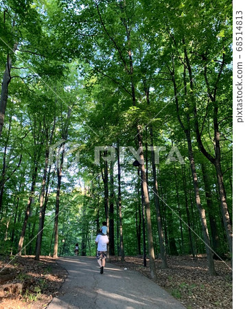 走在森林裡的父母和孩子 68514813