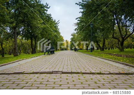 Crooked apple trees garden 68515880