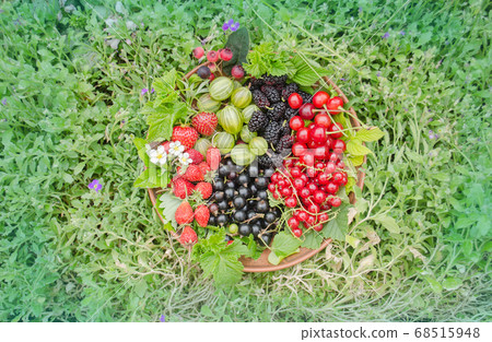 Ceramic bowl with assortment berries Ceramic bowl with assortment berries 68515948