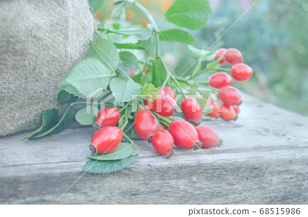 Dog rose on brown wooden background 68515986