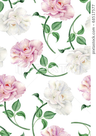 Vintage watercolor pattern with realistic white and pink roses 68517577