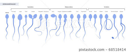 Human fertility concept 68518414