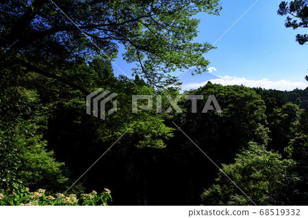 富士山腳下的富士宮市白鷺瀑布的夏天 富士山腳下的富士宮市白鷺瀑布的夏天 68519332